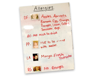 Example of an allergy poster for nurseries