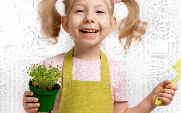 Activity of the week