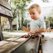 child sorting conkers