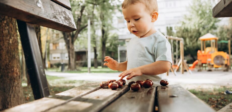 child sorting conkers