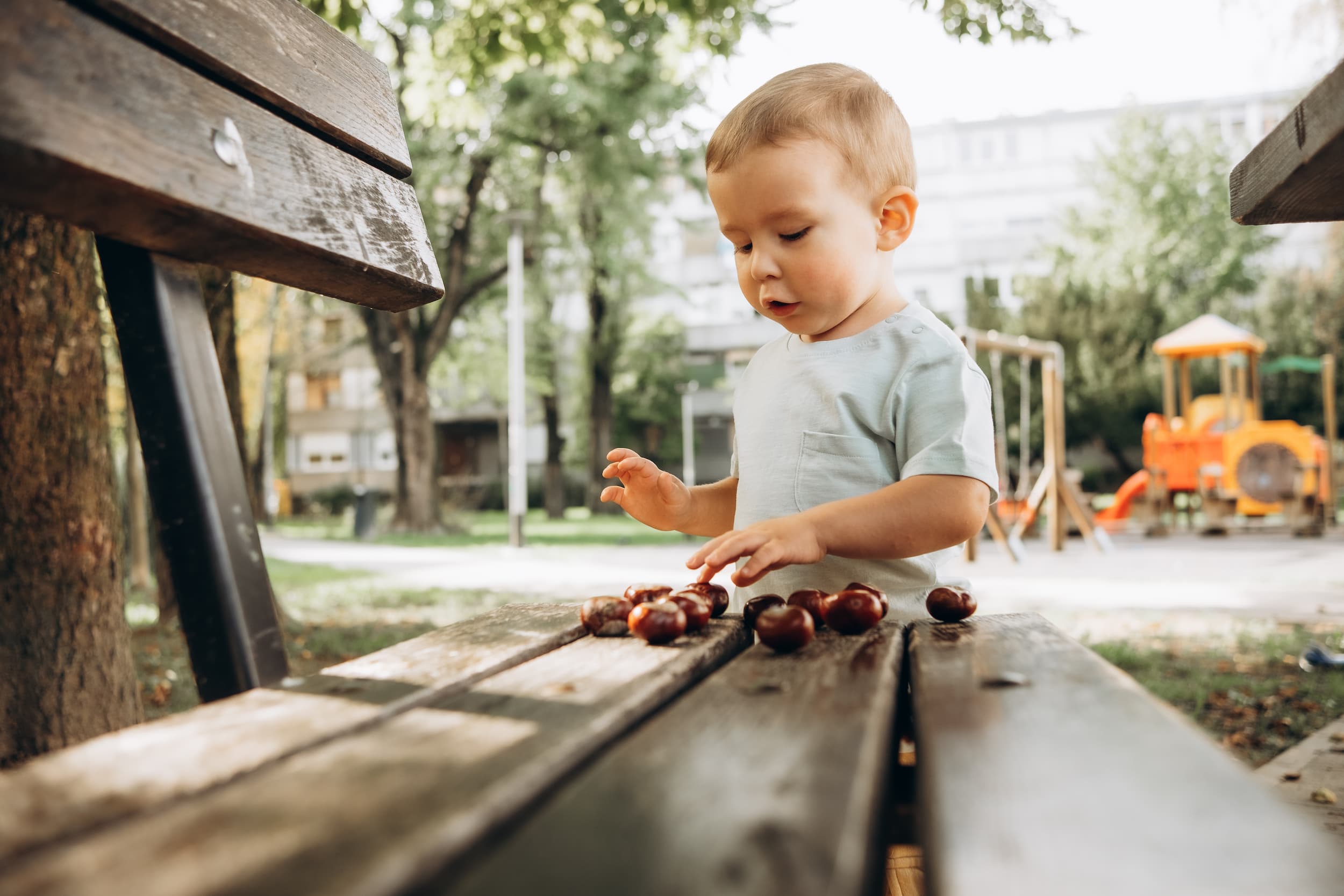 child sorting conkers