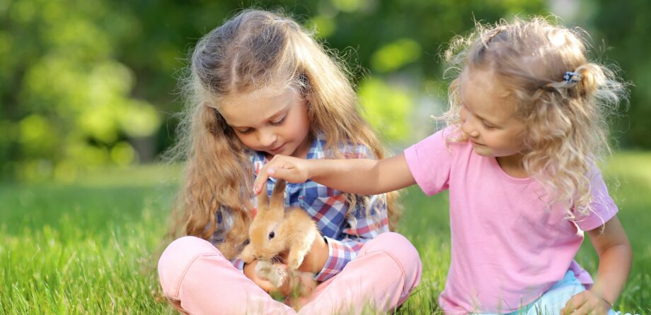 children with nursery pet rabbit