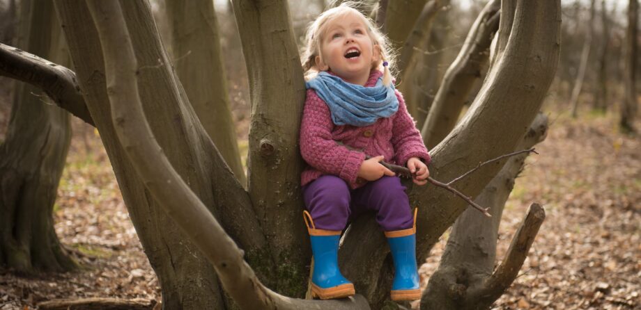 nursery forest school child sat in a tree
