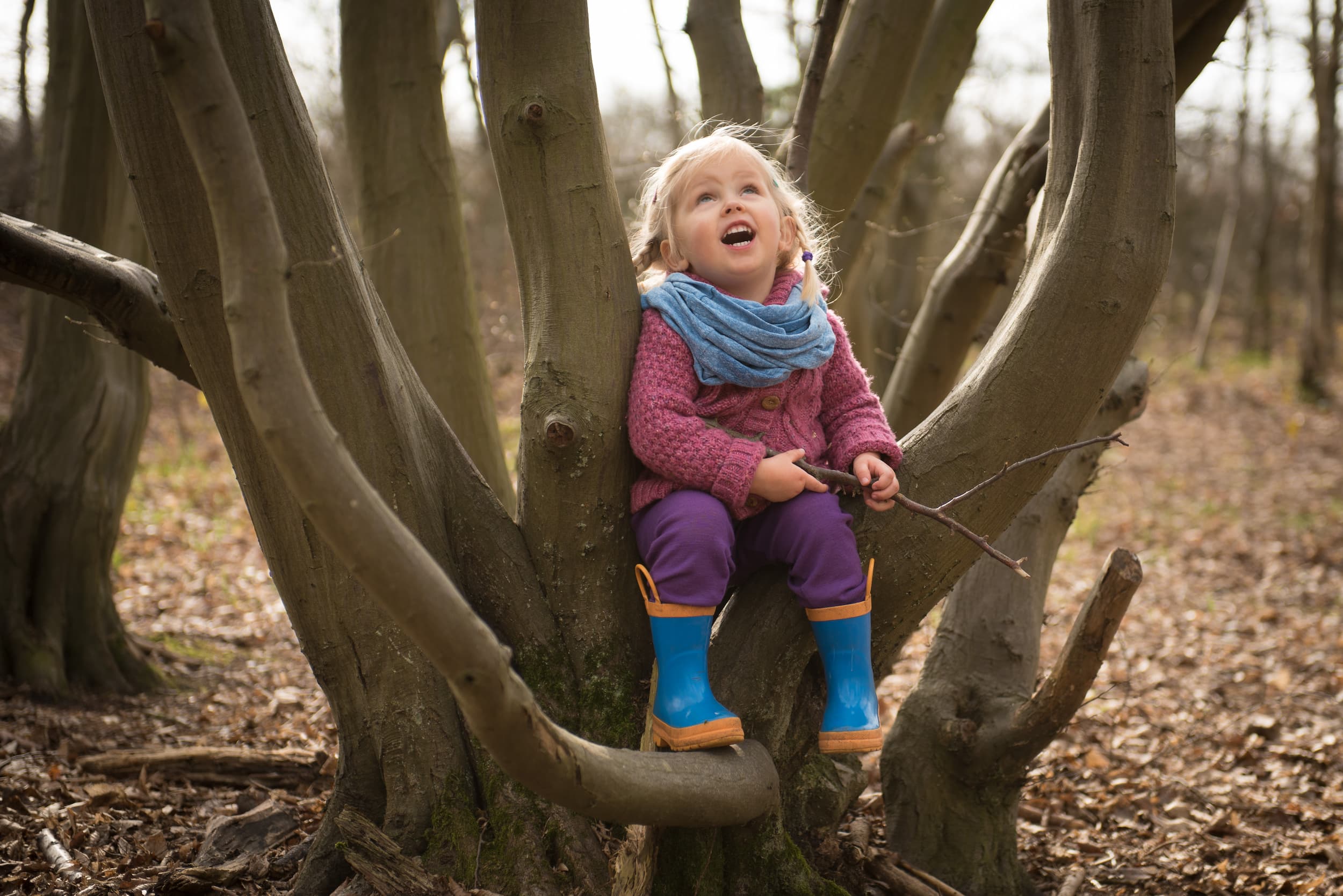 nursery forest school child sat in a tree