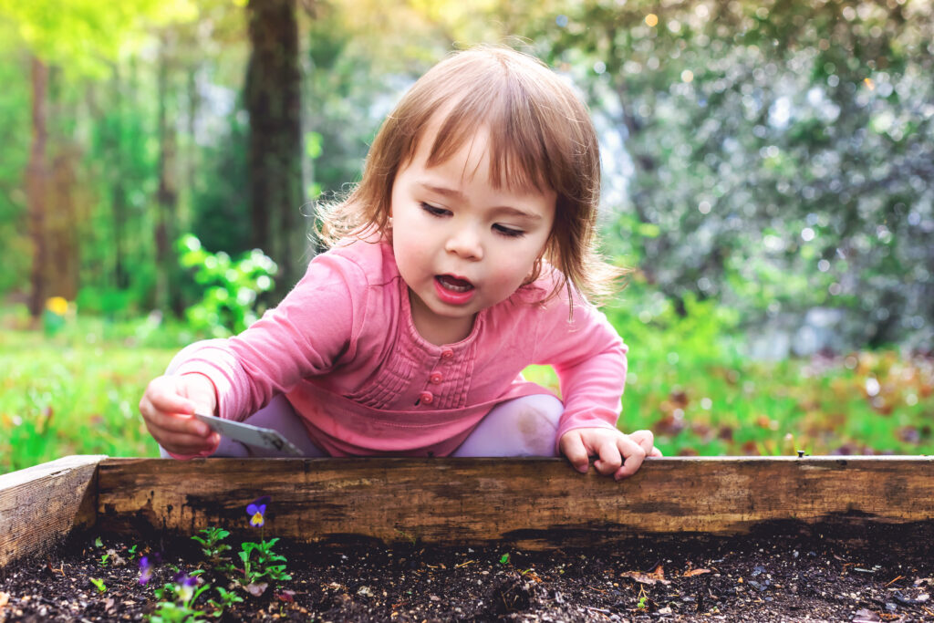 Outdoor and risky play nursery training