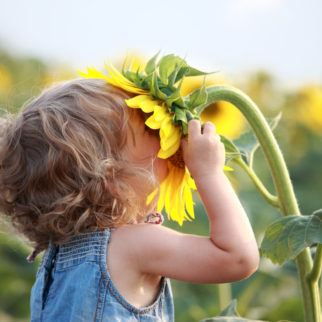 Toddler Room Leader training for nurseries