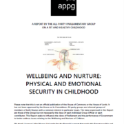 Wellbeing and Nurture: Physical and Emotional Security in Childhood 0-18yrs 2020