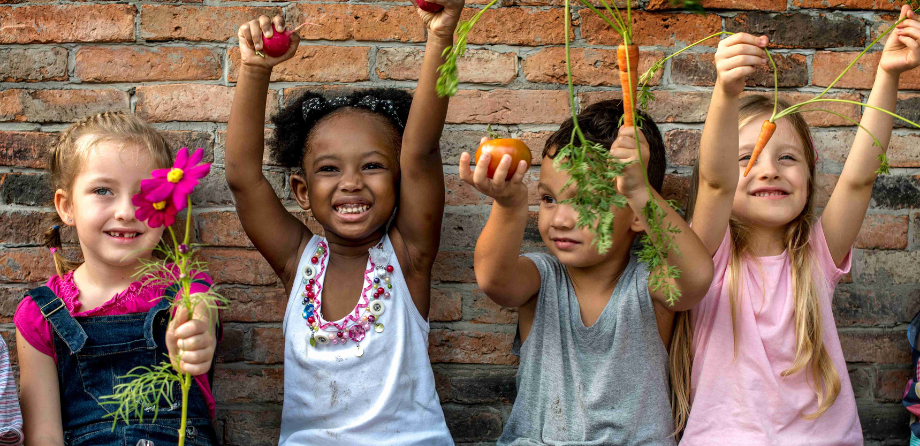 Summer sensory exploration