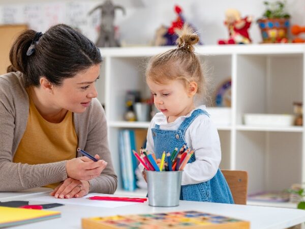 Toddler Room Leader - online course