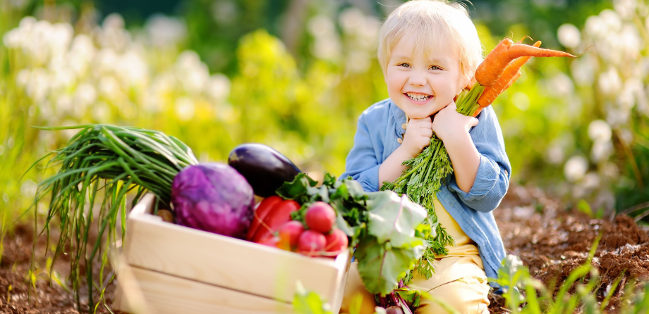 Harvest treasure hunt