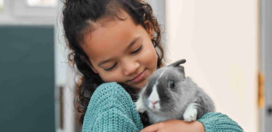 Activity - animal appreciation  