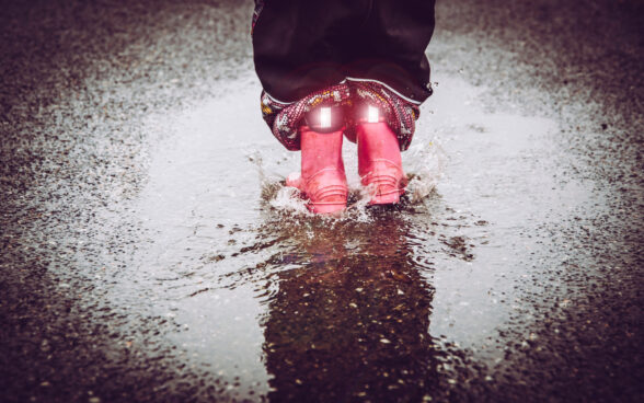 Activity of the week