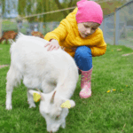 Top tips - Nursery pets health and safety