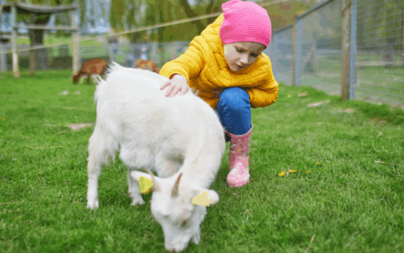 Top tips of the week