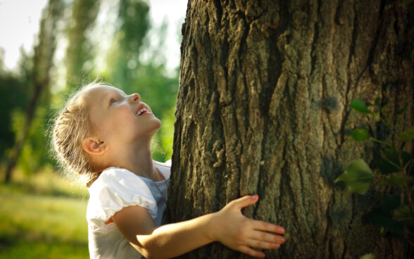 Activity of the week