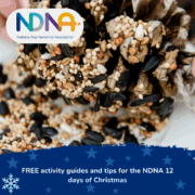 On the eleventh day of Christmas...