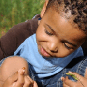  Observation, Assessment and Planning in Wales