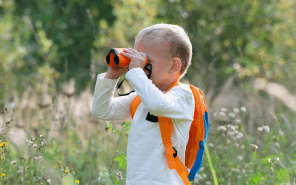 Activity of the week