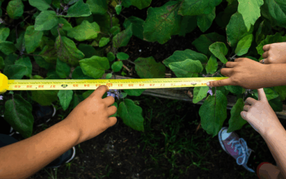 Activity of the week