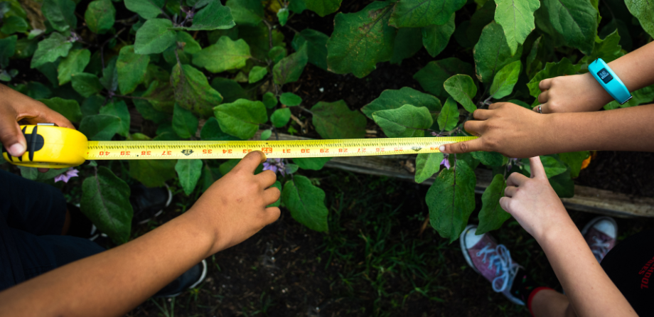 Activity - Non-standard Measures