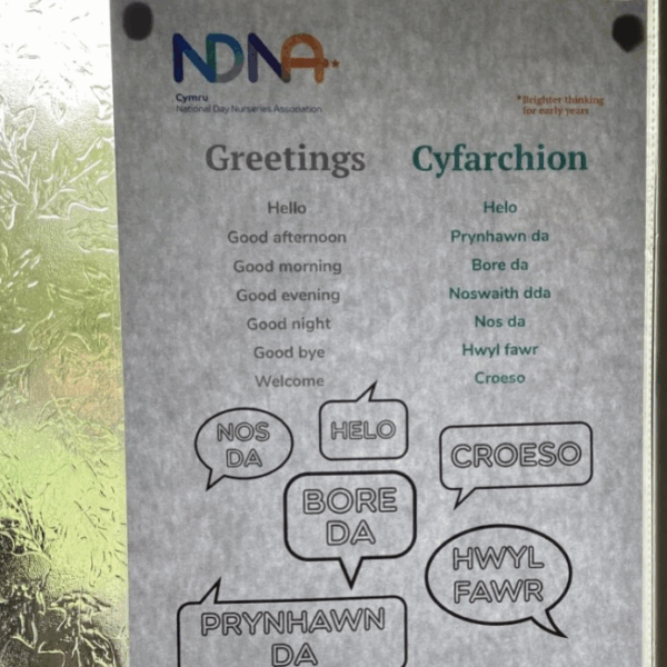 Bwlchgwyn Cabin Crew, Wrexham