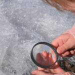 Discovering the signs of winter activity website