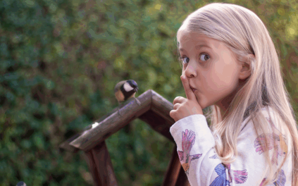 Top tips of the week