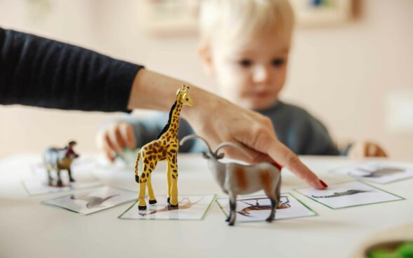 Top tips of the week