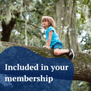 Theories and Approaches in the Early Years – online course