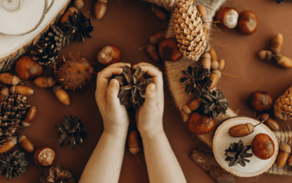 Activity of the week