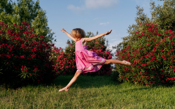 Activity of the week