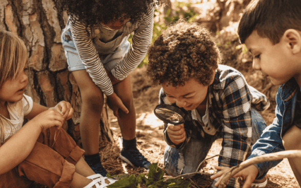 Top tips of the week